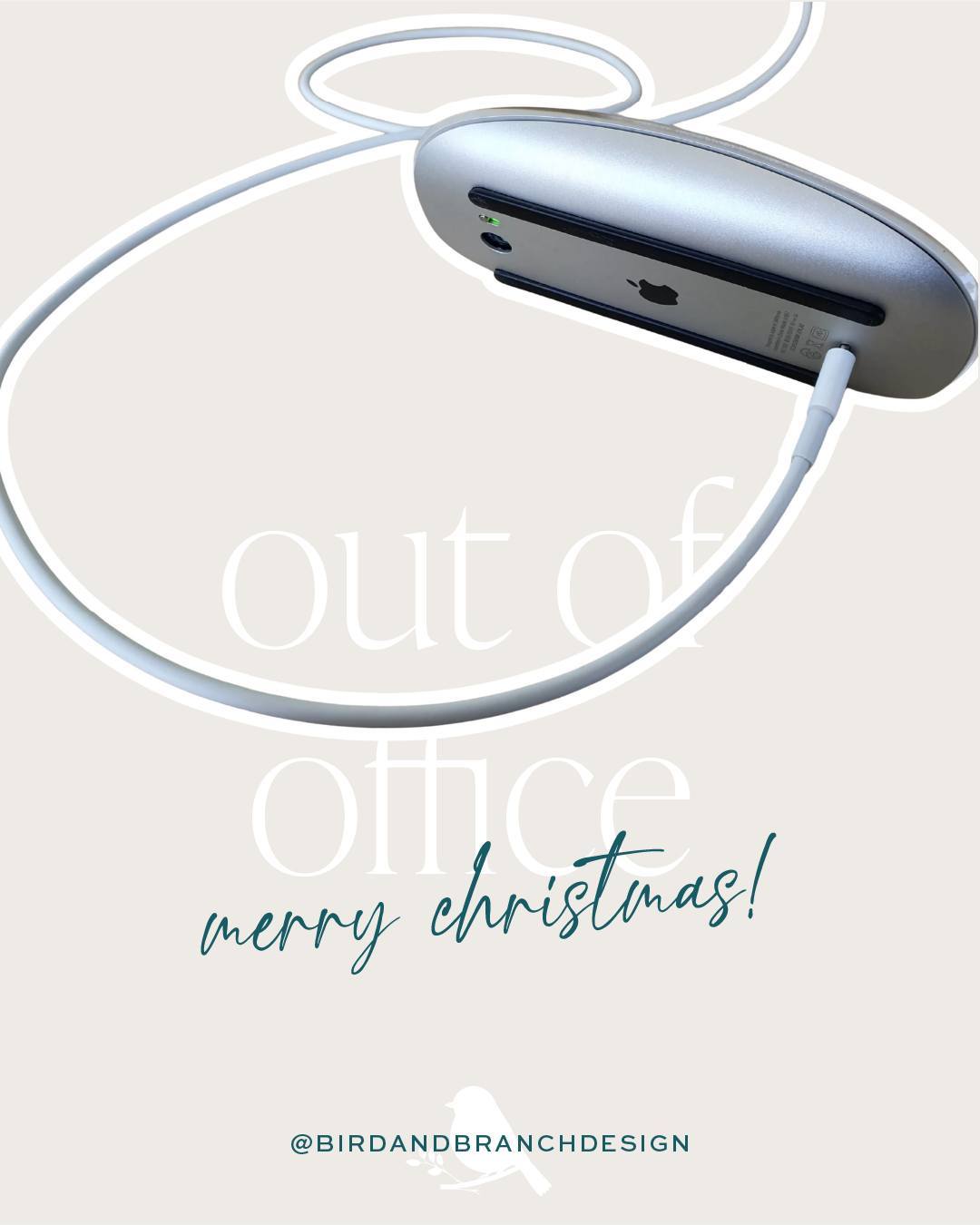 Bird & Branch Design is officially signing off for the year.
Thank you for trusting me with your stories, ideas and brands in 2025. I’m so grateful for every project, conversation and collaboration this year.

I’ll be taking a short Christmas break and will be back from January 5th, recharged, inspired and ready to create! I hope everyone has a safe, restful and joyous holiday season. 

Renae x