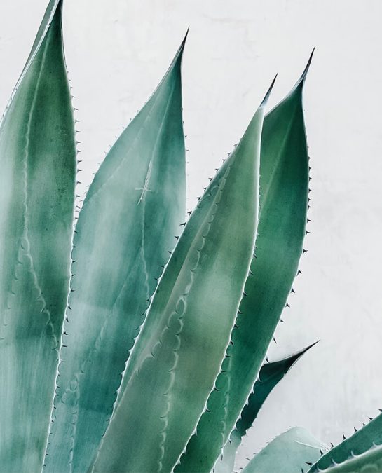 derick-mckinney-1579491-unsplash-double-images-cm derick-mckinney-1579491-unsplash-double-images-cm